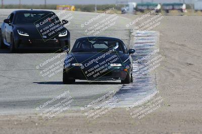 media/Oct-21-2023-Speed Ventures (Sat) [[ddf75163c5]]/Yellow/Grapevine/